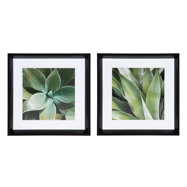 kate & laurel Calter Succulent Leaves Framed Print Art Set by Amy Peterson