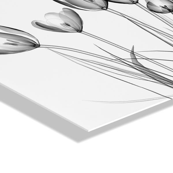 Kate & Laurel Crocus X Ray Floral Floating Acrylic Art By The Creative Bunch Studio