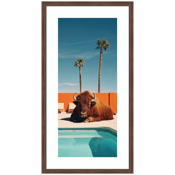Kate & Laurel Framed Art Bison Chilling By The Pool In California By Michael Schauer