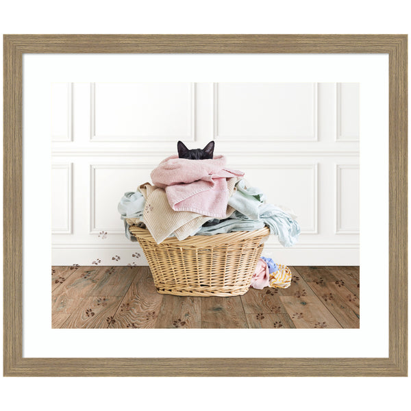kate & laurel Framed Art Cat in a Basket Traditional Laundry by Amy Peterson