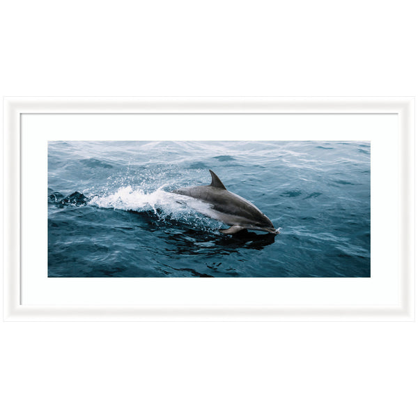 Kate & Laurel Framed Art Dolphin Skipping Along In The Ocean Panel By Michael Schauer