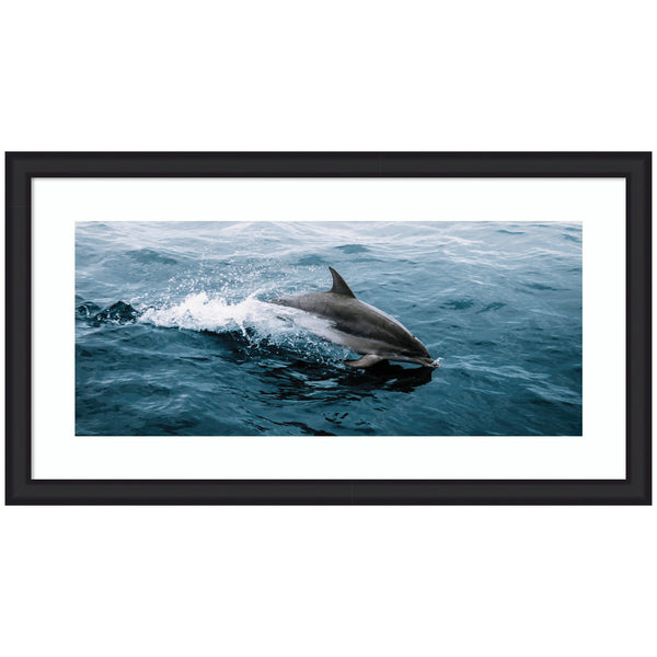 kate & laurel Framed Art Dolphin Skipping along in the Ocean Panel by Michael Schauer