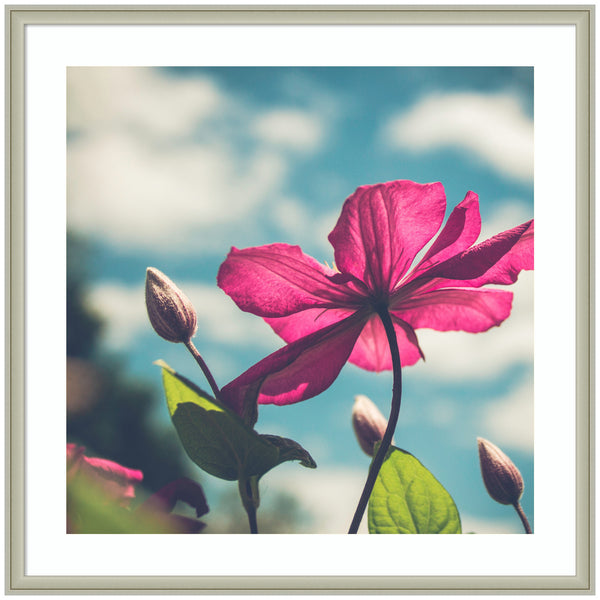Kate & Laurel Framed Art Flower In The Sky By Stephanie Klatt