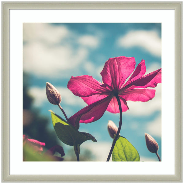 kate & laurel Framed Art Flower in the Sky by Stephanie Klatt
