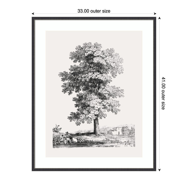 Kate & Laurel Framed Art Jean Victor Bertin Study Of A Tree 1816 By The Art Institute Of Chicago