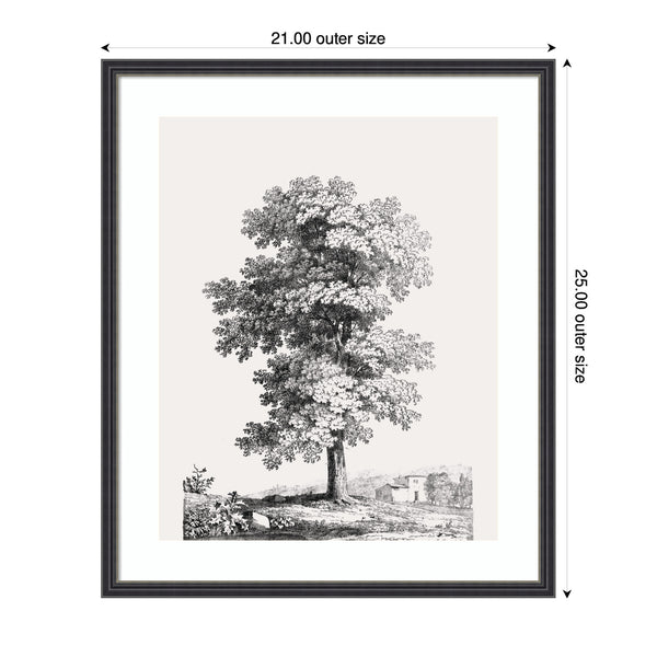 kate & laurel Framed Art Jean Victor Bertin Study of a Tree 1816 by The Art Institute of Chicago