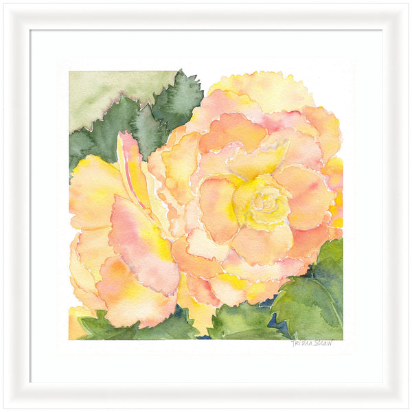 kate & laurel Framed Art Orange Pink Abstract Begonia by Patricia Shaw