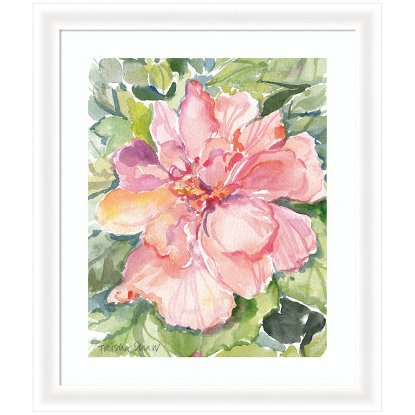 Kate & Laurel Framed Art Pink Hibiscus In Antigua By Patricia Shaw