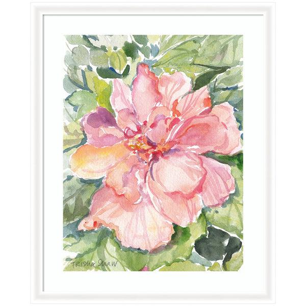 kate & laurel Framed Art Pink Hibiscus In Antigua by Patricia Shaw