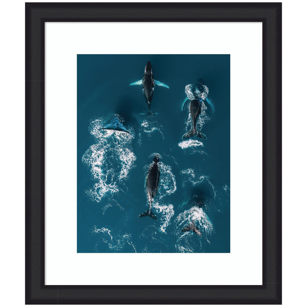 Kate & Laurel Framed Art School Of Humpback Whales In The Blue Ocean By Michael Schauer
