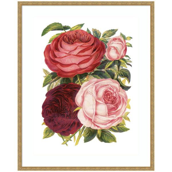 Kate & Laurel Framed Art Victorian Flowers By The Creative Bunch Studio