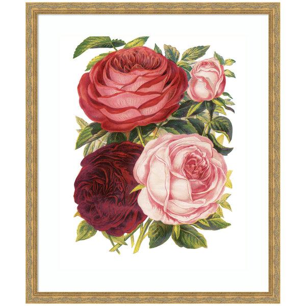 kate & laurel Framed Art Victorian Flowers by The Creative Bunch Studio