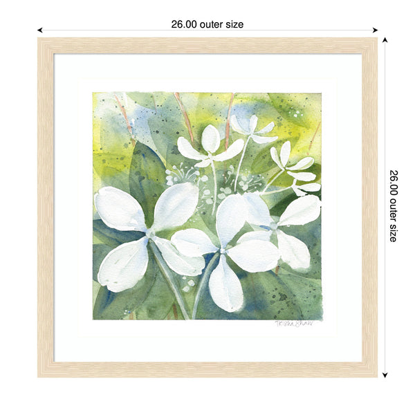 Kate & Laurel Framed Art White Phantom Hydrangea In Greens By Patricia Shaw