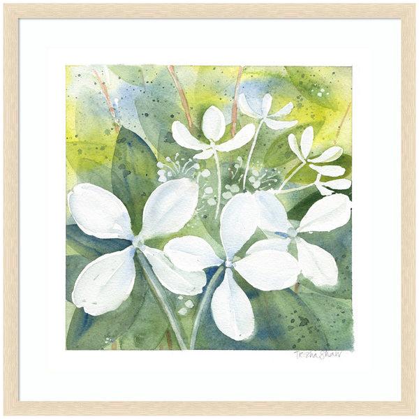 Kate & Laurel Framed Art White Phantom Hydrangea In Greens By Patricia Shaw
