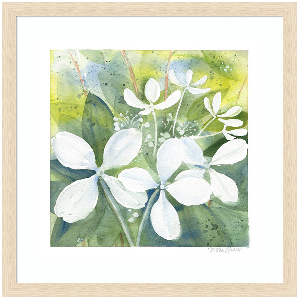 kate & laurel Framed Art White Phantom Hydrangea in Greens by Patricia Shaw