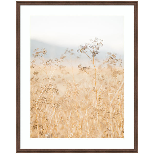 Kate & Laurel Framed Art Wild Fennel By Crystal Lynn Collins