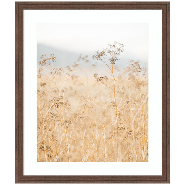 kate & laurel Framed Art Wild Fennel by Crystal Lynn Collins
