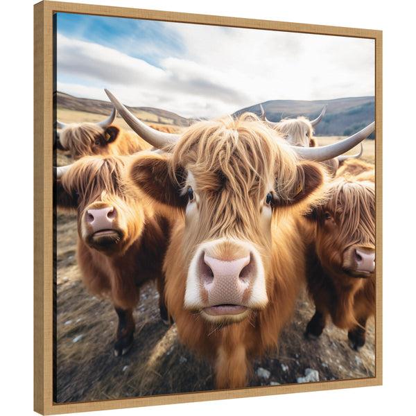 kate & laurel Funny Highland Cow Selfie by The Creative Bunch Studio