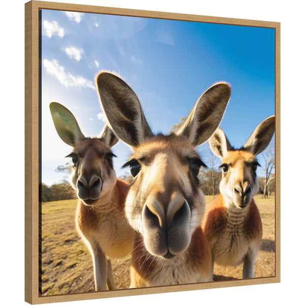 Kate & Laurel Funny Kangaroo Selfie By The Creative Bunch Studio