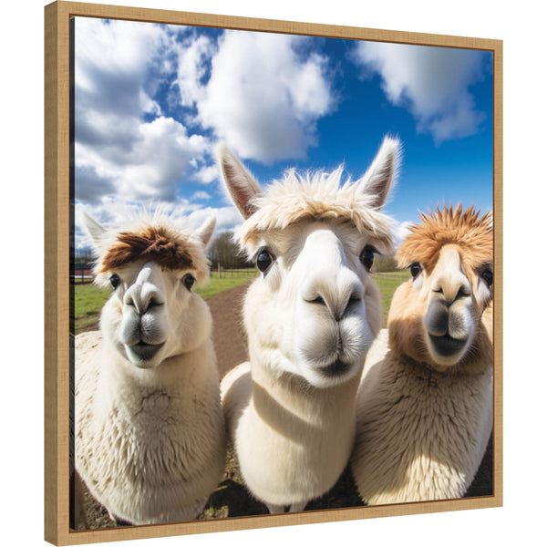 Kate & Laurel Funny Llama Selfie By The Creative Bunch Studio