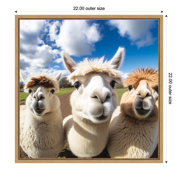 Kate & Laurel Funny Llama Selfie By The Creative Bunch Studio