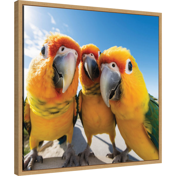 kate & laurel Funny Parrot Selfie by The Creative Bunch Studio