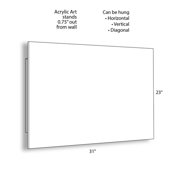 Kate & Laurel Herd Of Highland Cows BW Floating Acrylic Art By The Creative Bunch Studio