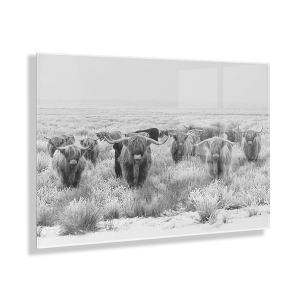 kate & laurel Herd of Highland Cows BW Floating Acrylic Art by The Creative Bunch Studio