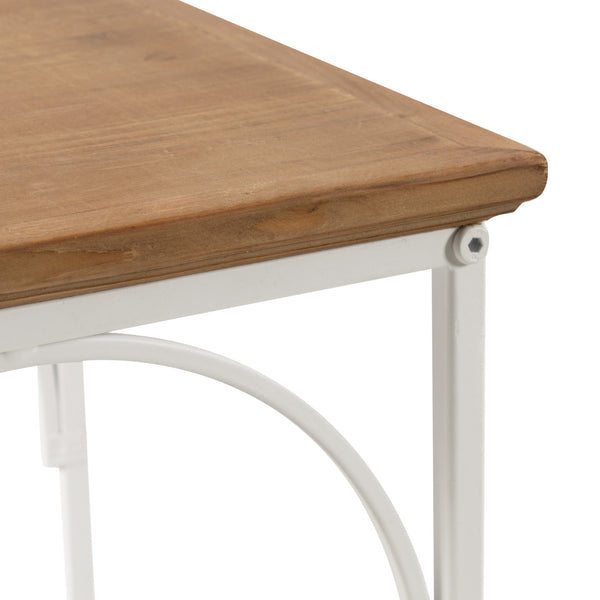 Kate & Laurel Anthea Wood And Metal End Table