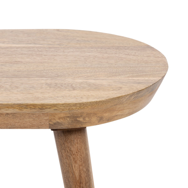 Kate & Laurel Conan Oval Wood Side Table
