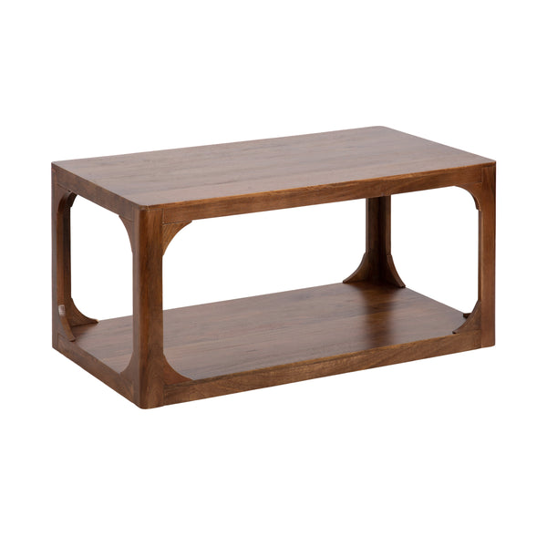 kate & laurel Dahl Rectangle Coffee Table