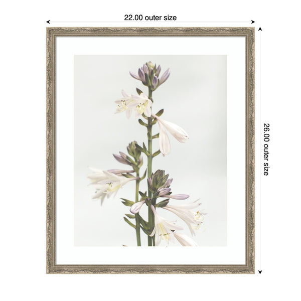 Kate & Laurel Framed Art Hosta By Alicia Abla