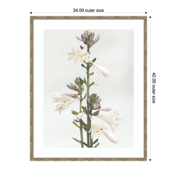 Kate & Laurel Framed Art Hosta By Alicia Abla