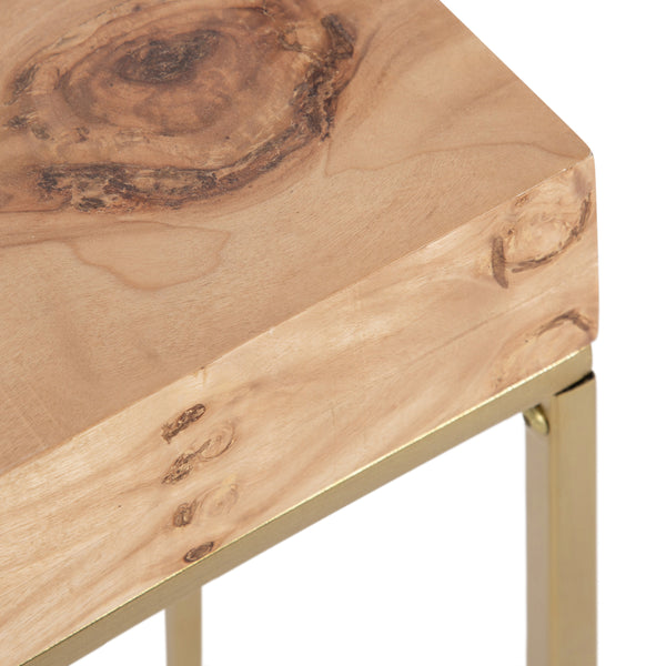 Kate & Laurel Karlsen Wood And Metal Slim Side Table