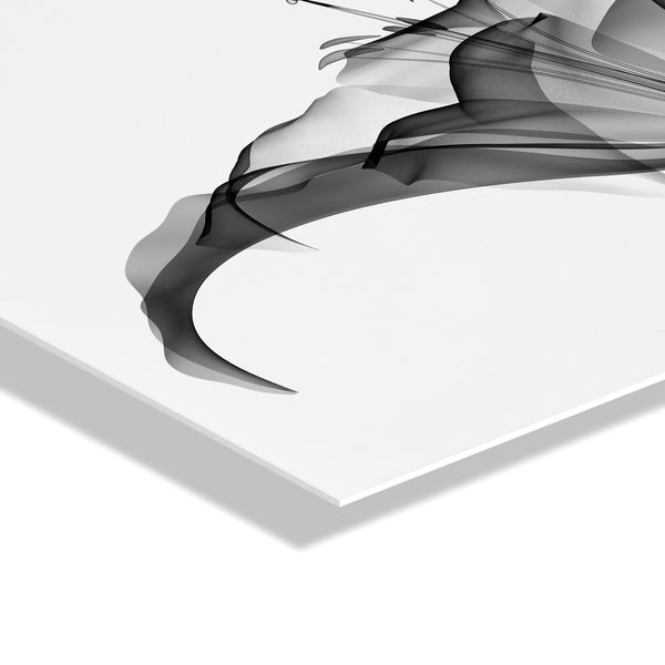 Kate & Laurel Lily X Ray Floral Floating Acrylic Art By The Creative Bunch Studio