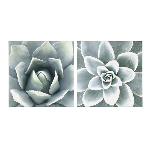 Kate & Laurel Soft Botanical Succulents By The Creative Bunch Studio