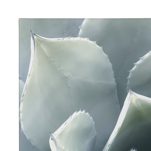 Kate & Laurel Soft Botanical Succulents By The Creative Bunch Studio