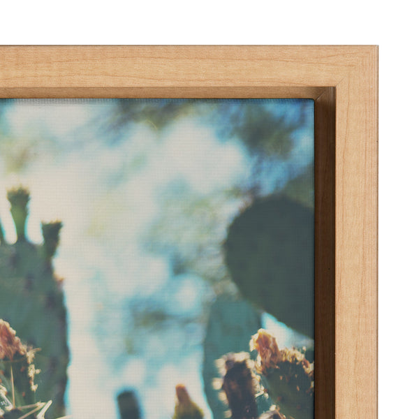 Kate & Laurel Sylvie A Desert Prickly Pear Cactus Framed Canvas By Laura Evans