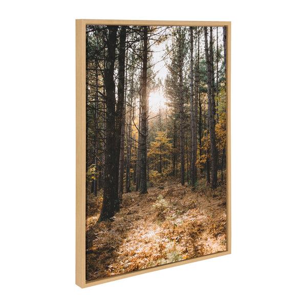 Kate & Laurel Sylvie A Walk In The Woods Framed Canvas By Patricia Hasz Of Patricia Rae Photography
