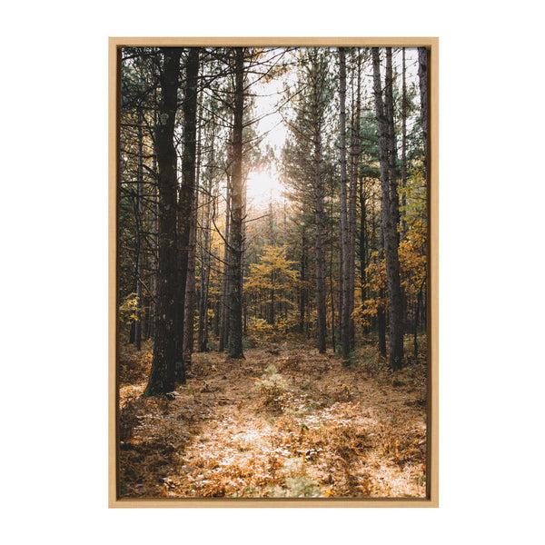 kate & laurel Sylvie A Walk in the Woods Framed Canvas by Patricia Hasz of Patricia Rae Photography