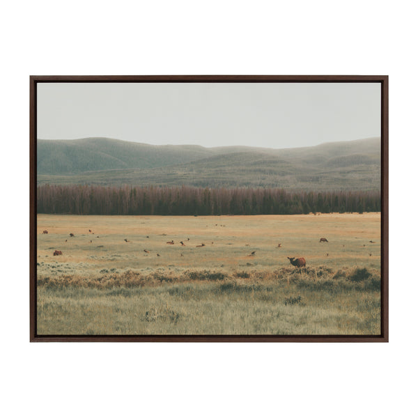 Kate & Laurel Sylvie AA On The Range Framed Canvas By Alicia Abla