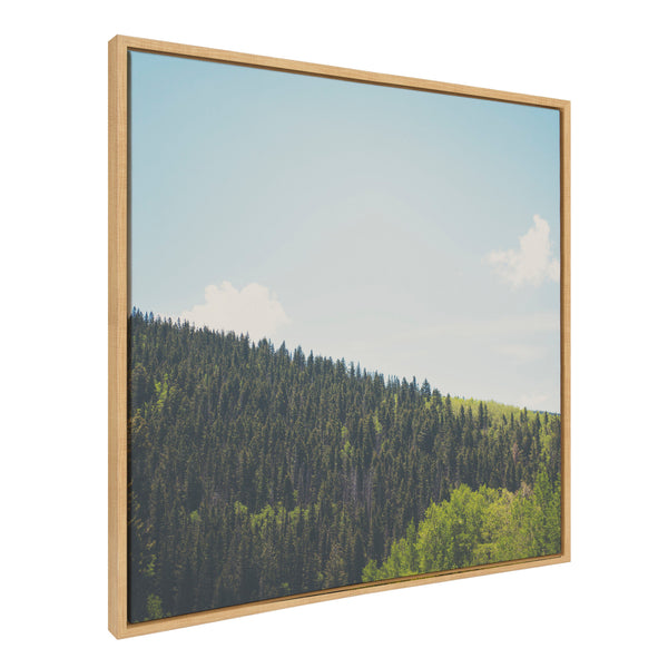 Kate & Laurel Sylvie Above The Tree Line Framed Canvas By Laura Evans