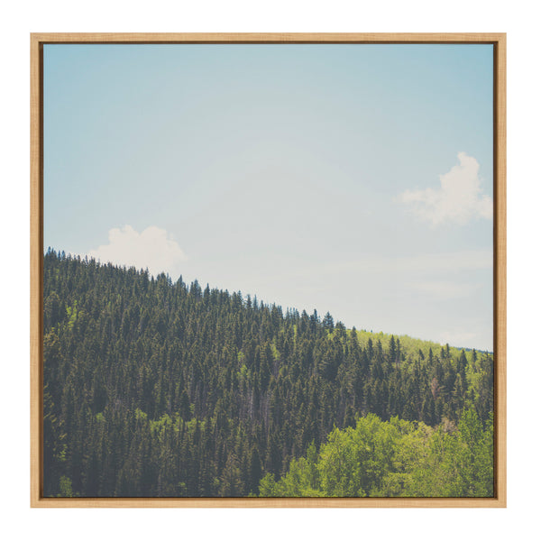 kate & laurel Sylvie Above the Tree Line Framed Canvas by Laura Evans