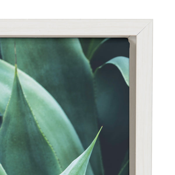 Kate & Laurel Sylvie Agave II Framed Canvas By F2 Images