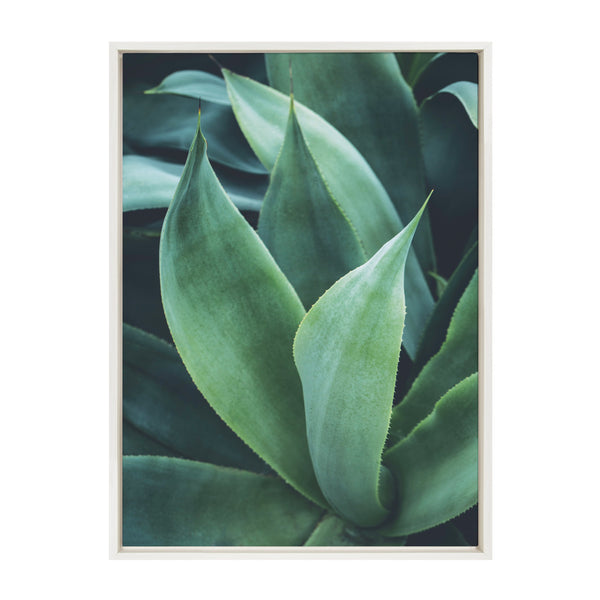 kate & laurel Sylvie Agave II Framed Canvas by F2 Images