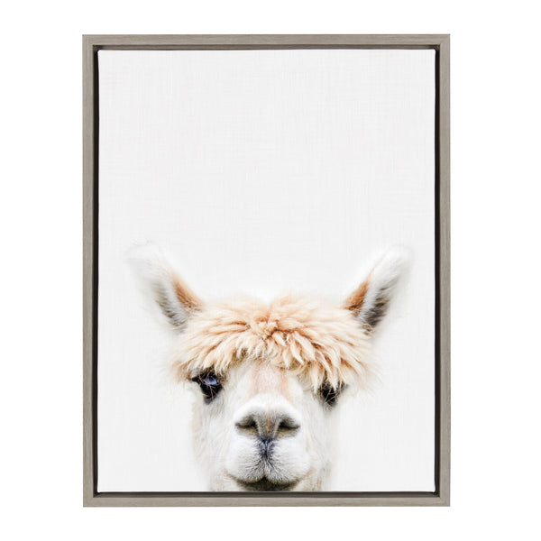 kate & laurel Sylvie Alpaca Bangs Framed Canvas by Amy Peterson Art Studio