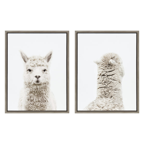kate & laurel Sylvie Alpaca Front and Alpaca Back Framed Canvas Art Set by Amy Peterson Art Studio