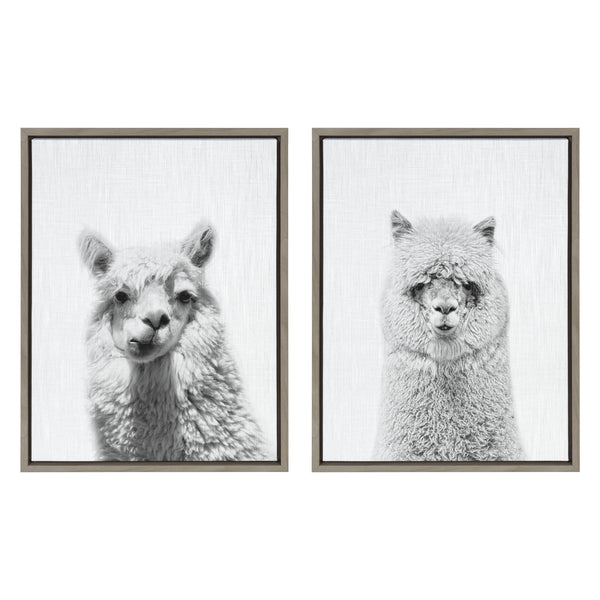 kate & laurel Sylvie Alpaca Portrait Set Framed Canvas By Simon Te