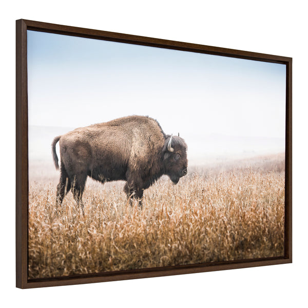 Kate & Laurel Sylvie American Bison Buffalo In Prairie Grass Framed Canvas By Warren Metcalf