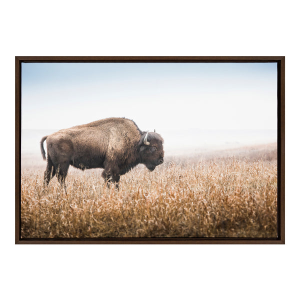 Kate & Laurel Sylvie American Bison Buffalo In Prairie Grass Framed Canvas By Warren Metcalf